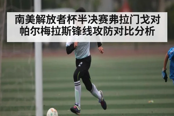 南美解放者杯半决赛弗拉门戈对帕尔梅拉斯锋线攻防对比分析